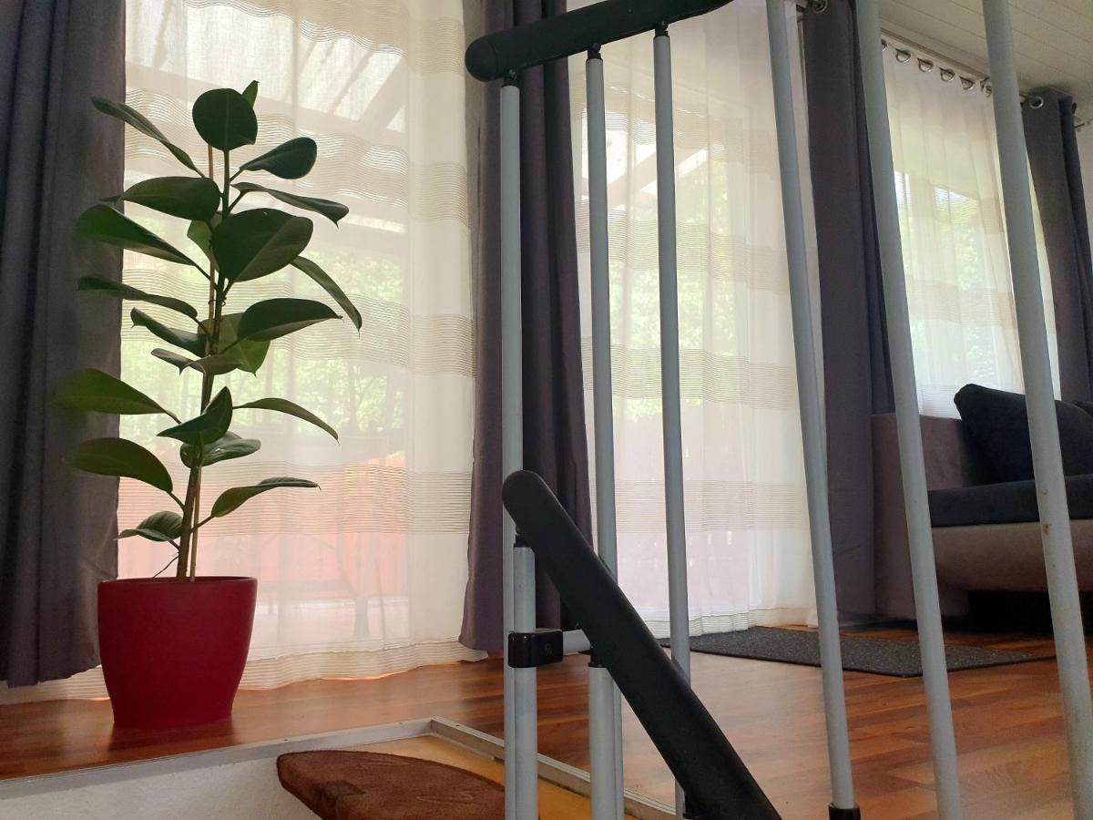 Haus Damian Appartement Verbandsgemeinde Verbandsgemeinde Traben-Trarbach Buitenkant foto